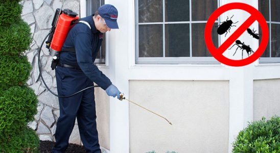 Gölpazarı Dezenfeksiyon böcek ilaçlama ve haşere kontrolü — ilaclama-tr.com